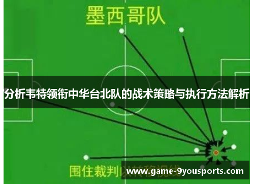 分析韦特领衔中华台北队的战术策略与执行方法解析